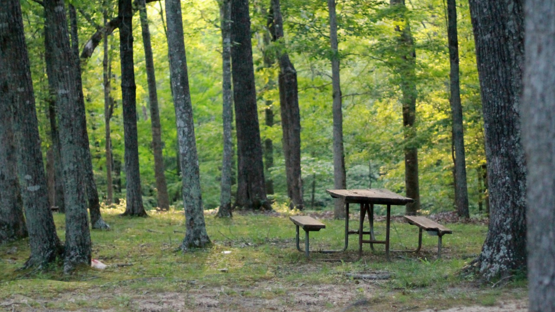 Les avantages d’installer une table de pique-nique